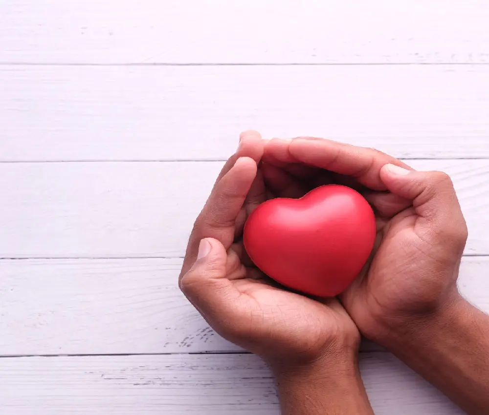 hands holding heart